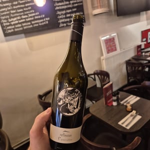 Reflexion Grüner Veltliner Ried Kellerberg - Bioweingut Johannes Zillinger - Johannes Zillinger -2019