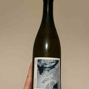 Reisling 2021 - Dexheimer Wines - max-dexheimer -2021