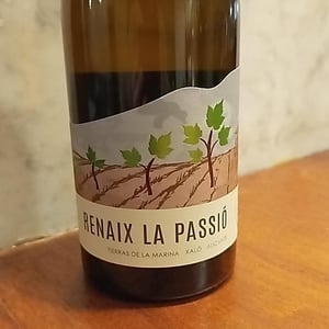 Renaix La Passió - Bodegas Riko - Marina and Oscar Mestre -2023