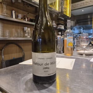 Retour De Milan - Fond Cyprès - Rodolphe Gianesini & Laetitia Ourliac