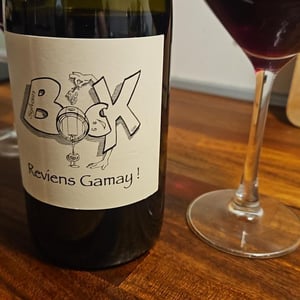 Reviens Gamay ! - Sylvain Bock - Sylvain Bock 