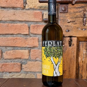 Ribolla Gialla - Società Agricola Silvano Ferlat - Moreno Ferlat 