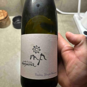 Riesling - Weingut Martin & Anna Arndorfer - Martin & Anna Arndorfer 