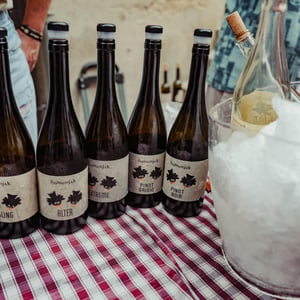 Riesling - Kmetija Šumenjak - Srečko Šumenjak -2019