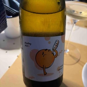Riesling - Weingut Kissinger - Moritz Kissinger -2021