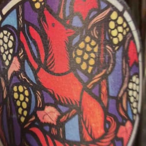Riesling - Lelle Ihr Wein - Lena-Maria Julier 