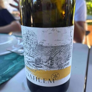 Riesling - Hofgut Dahlem - jochen-lorenz-dahlem