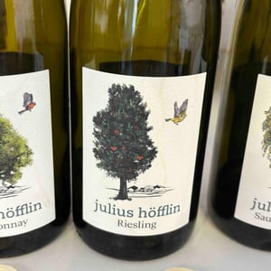 Riesling - julius höfflin - julius-hofflin -2023