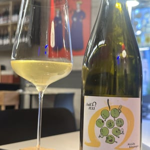 Riesling - Weingut Kissinger - Moritz Kissinger -2021