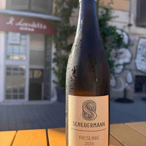 Riesling Trocken - Weingut Scheuermann - Gabriel & Simon Scheuermann 