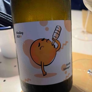 Riesling - Weingut Kissinger - Moritz Kissinger -2021