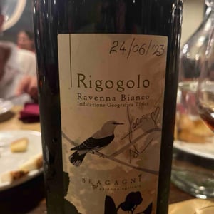 Rigogolo - Azienda Agricola Bragagni Andrea - andrea-bragagni