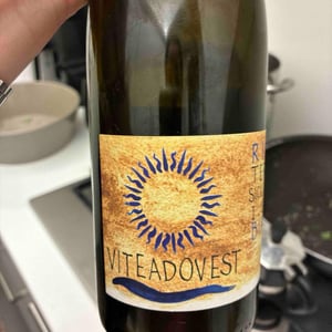 Rina - Viteadovest - vincenzo-angileri-ym