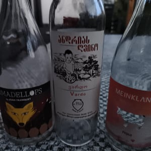 Rkatsiteli - Andria's Gvino - Chateau Khashmi - george-wolski