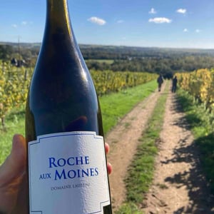 Roche aux Moines - Domaine Laureau - florence-damien-laureau -2021