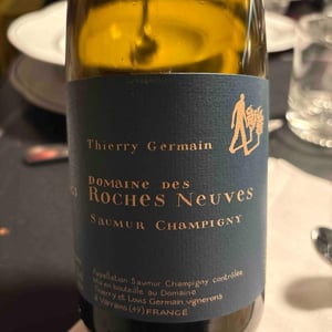 Domaine des Roches Neuves - Domaine des Roches Neuves - Thierry et Louis Germain 