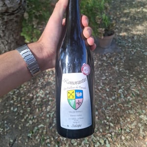Romorantin - Les Cailloux du Paradis - claude-etienne-courtois