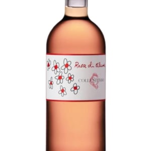 Rosa di Elena - ColleStefano - Fabio Marchionni -2025