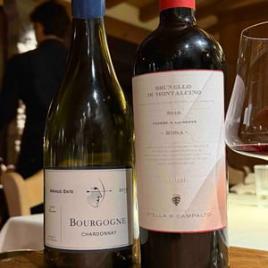 Rosa - Podere San Giuseppe - Stella di Campalto -2016