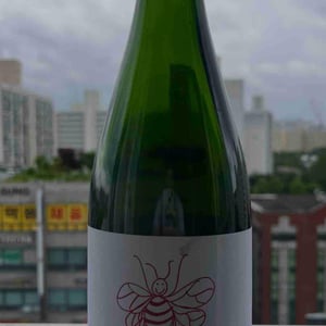 Rosa Karasica - Hummel Pincészet - Weingut Hummel - horst-hummel -2021