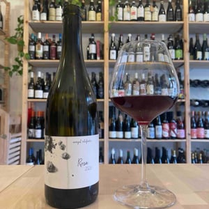 Rosa - Weingut Roterfaden - olympia-samara-hannes-hofmann -2023