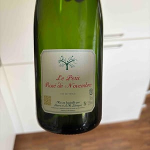 ROSE DE NOVEMBRE - Le Petit Domaine de Gimios - Anne-Marie Lavaysse -2024