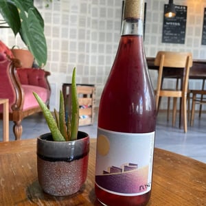 rosé - Tobias Thomann - Tobias Thomann -2025
