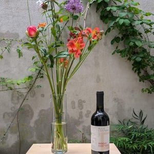 Rosso costiera - Alla Costiera - filippo-gamba