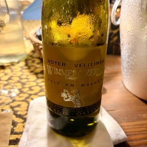Roter Veltliner Fels am Wagram - Weingut Wimmer-Czerny - wimmer-czerny -2023