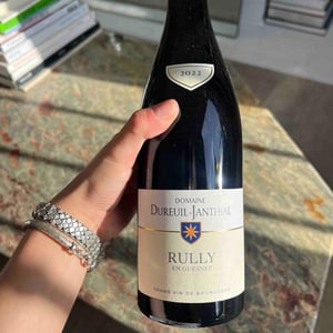 Rully Rouge - Domaine Dureuil Janthial - vincent-dureuil-janthial -2021