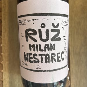 RUZ - Milan Nestarec - Milan Nestarec -2020