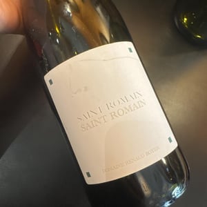 Saint-Romain Blanc - Domaine Renaud Boyer - Renaud Boyer 