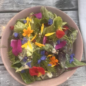 Salate - Rabarbergaarden - 1315091