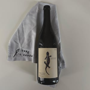 Salamander - Morillon - Weingut Andreas & Elisabeth Tscheppe - andreas-elisabeth-tscheppe -2023