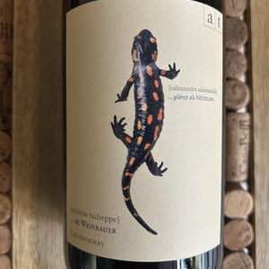 Salamander - Morillon - Weingut Andreas & Elisabeth Tscheppe - andreas-elisabeth-tscheppe