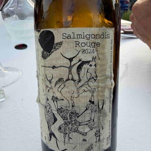 Salmigondis - Morgane Turlier - morgane-turlier