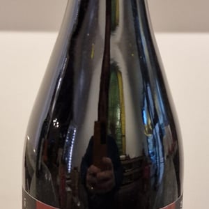 Sangiovese - Massa Vecchia - Francesca Sfondrini & Fabrizio Niccolaini 