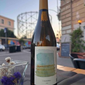 Sangiovese - I Mandorli - Maddalena Pasquetti 