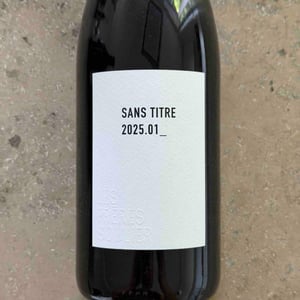 Sans Titre 2025.01_ - Les Frères Soulier - guillaume-charles-soulier -2025