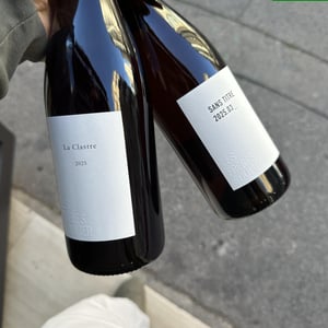 Sans Titre 2025.03_ - Les Frères Soulier - Guillaume & Charles Soulier -2025