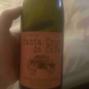 Santa Cruz De Coya - Roberto Henriquez - roberto-henriquez