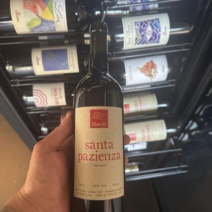 Santa Pazienza - Filarole - Barbara Pulliero & Paolo Rusconi -2019