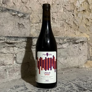 Saperavi - Marani Casreli - Casreli Wines - mikheil-dolidze -2020