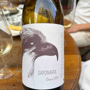 Saponaria - Yohann Moreaux - Balbuzard - Yohann Moreaux -2023
