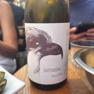 Saponaria - Yohann Moreaux - Balbuzard - yohann-moreaux -2023