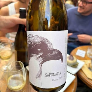 Saponaria - Yohann Moreaux - Balbuzard - yohann-moreaux -2023