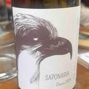 Saponaria - Yohann Moreaux - Balbuzard - Yohann Moreaux -2023