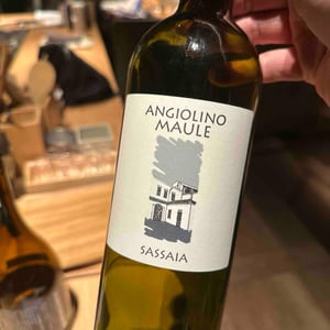 Sassaia - Azienda Agricola La Biancara - Angiolino Maule 