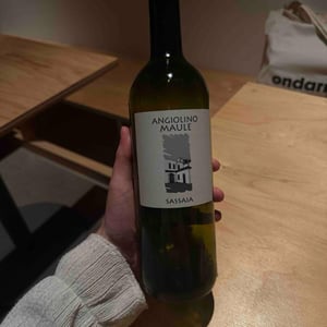Sassaia - Azienda Agricola La Biancara - Angiolino Maule 