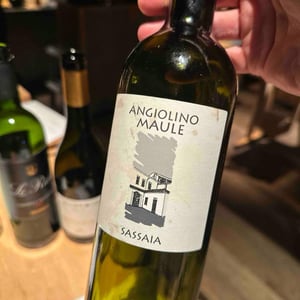 Sassaia - Azienda Agricola La Biancara - Angiolino Maule